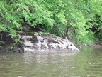IMG 4720